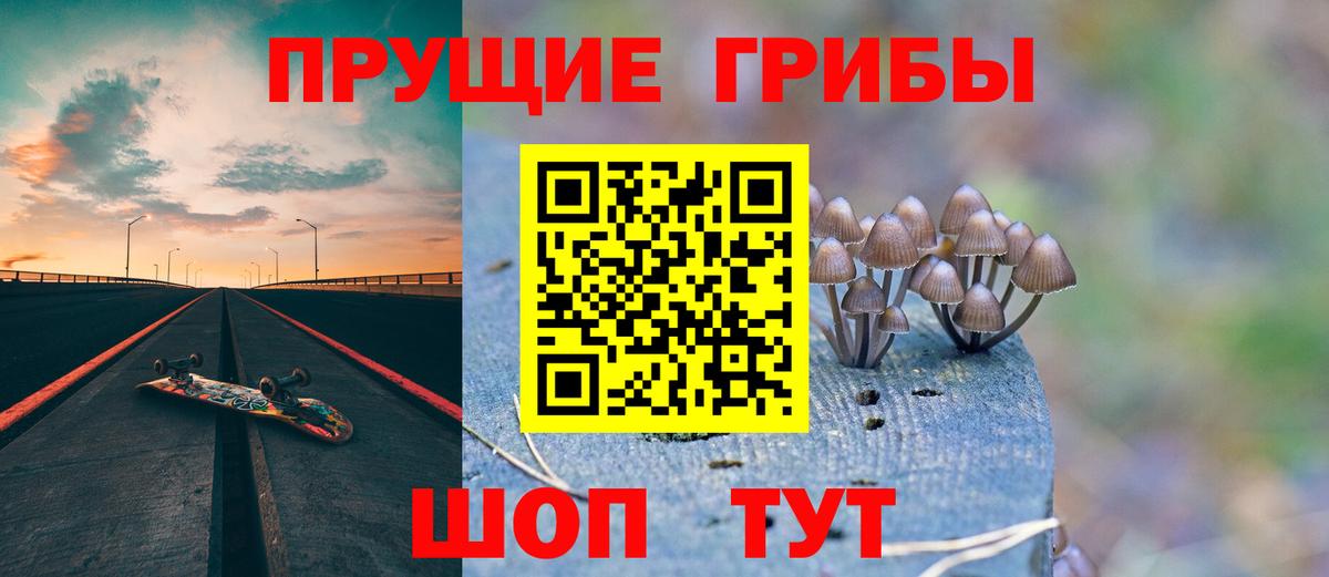Псилоцибиновые грибы GOLDEN TEACHER Комсомольск-на-Амуре
